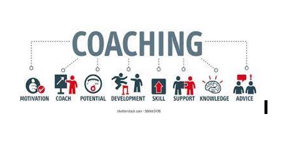 Read more about the article The Value of Coaching